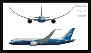Boeing 787 Wing Flex
